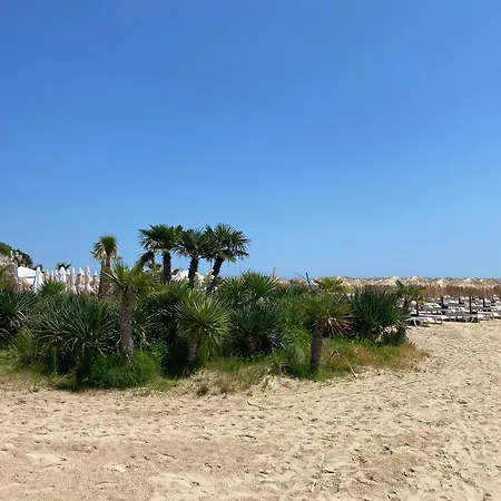 Horizon 7 'а' סבטי ולאס